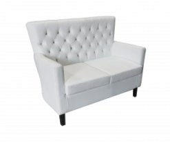 2 seater sofa, VIP sofa, leather sofa