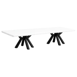 Long Wooden Low Table