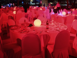 Round LED Light
