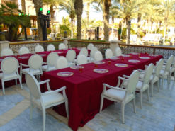 White Dining Armchair, Dior White Armchair