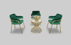 Green Dining Chair, Velvet Dining Chair, Gold Coffee Table