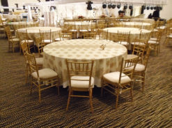 Gold Dining Chair, Chiavari Chair, Tiffany Chair