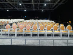 Gold Armchair, Dior Gold Armchair, Conference Chair