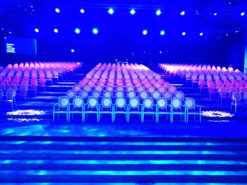 Gold Armchair, Dior Gold Armchair, Conference Armchair