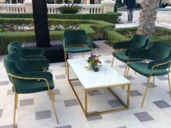 Green Dining Chair, Velvet Dining Chair, Rectangular Coffee Table, Marble Cofee Table