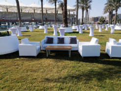 Rectangular Coffee Table, Wooden Coffee Table, Rustic Coffee Table, White Sofa, Single Seater Sofa, 2 Seater Sofa, Leather Sofa
