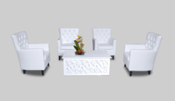 White Rectangular Coffee Table, White Sofa, Leather Sofa