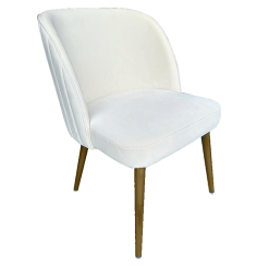Ivory Velvet Dining Chair