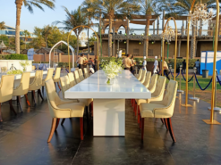 Rectangular Dining Table, White Dining Table, 10 Seater Dining Table, Classic Dining Chair, Beige Dining Chair