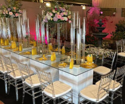 Rectangular Glass Table, Clear Glass Dining Table, Acrylic Dining Chair