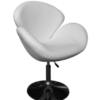 Adjustable Swivel Chair