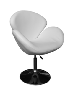 Adjustable Swivel Chair