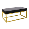 Rectangular Coffee Table