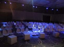 White Chair, White Dining Chair