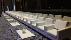 VIP Sofa, White Sofa, Single Seater Sofa, Rectangular White Coffee Table