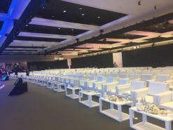 VIP Sofa, White Sofa, Single Seater Sofa, Rectangular White Coffee Table