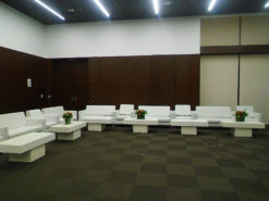 2 Seater Sofa, White Sofa, VIP Sofa, White Rectangular Coffee Table