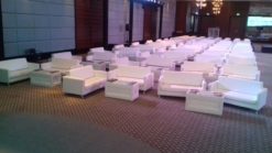 VIP Sofa, White Sofa, 2 Seater Sofa, Rectangular Coffee Table