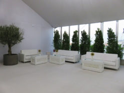 3 Seater Sofa, White Sofa, VIP Sofa, White Rectangular Coffee Table