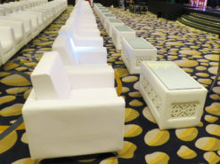 VIP Sofa, White Sofa, Single Seater Sofa, Rectangular White Coffee Table