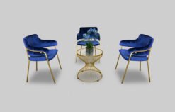 Blue Dining Chair, Velvet Dining Chair, Gold Coffee Table