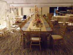 Gold Dining Chair, Chiavari Chair, Tiffany Chair